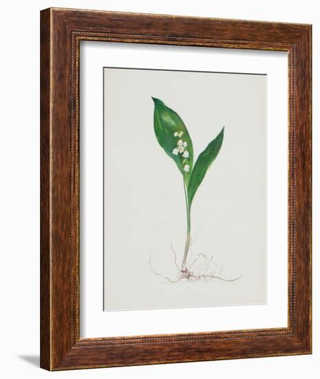 Lily of the Valley-Moritz Michael Daffinger-Framed Collectable Print