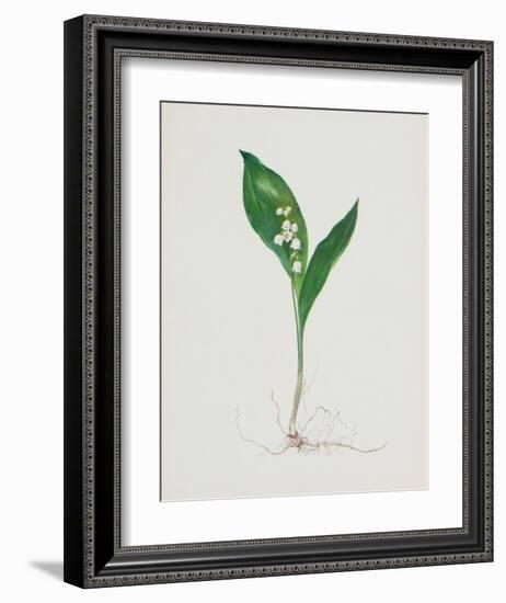 Lily of the Valley-Moritz Michael Daffinger-Framed Collectable Print