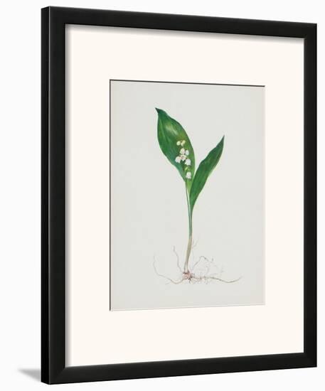 Lily of the Valley-Moritz Michael Daffinger-Framed Art Print