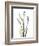 Lily of the Valley-Albert Koetsier-Framed Premium Giclee Print