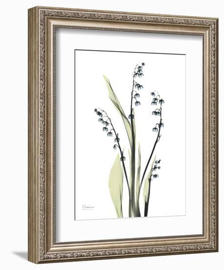 Lily of the Valley-Albert Koetsier-Framed Premium Giclee Print