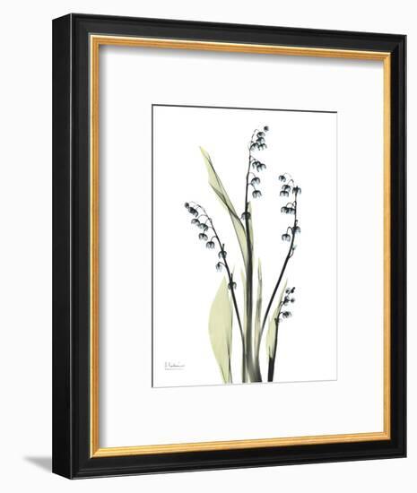 Lily of the Valley-Albert Koetsier-Framed Premium Giclee Print