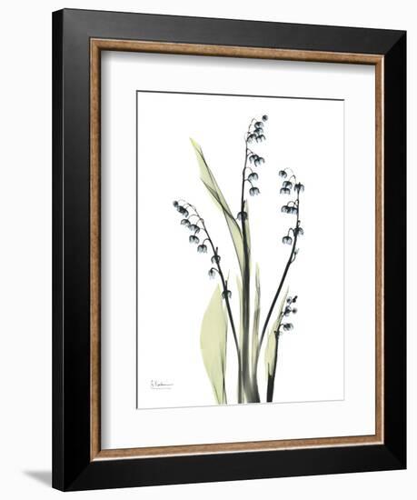 Lily of the Valley-Albert Koetsier-Framed Premium Giclee Print