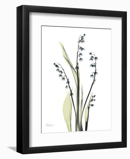 Lily of the Valley-Albert Koetsier-Framed Premium Giclee Print