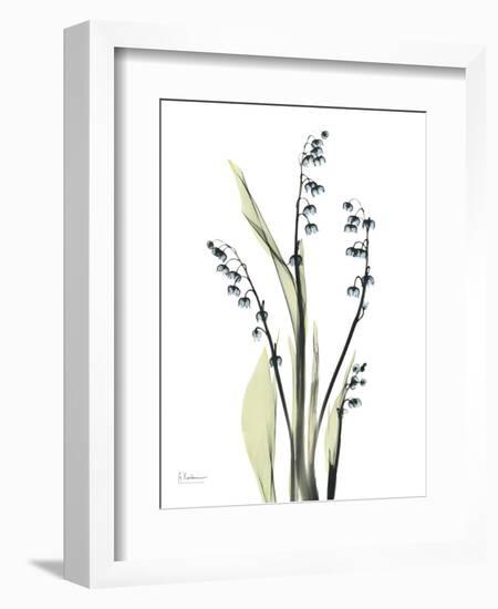 Lily of the Valley-Albert Koetsier-Framed Premium Giclee Print