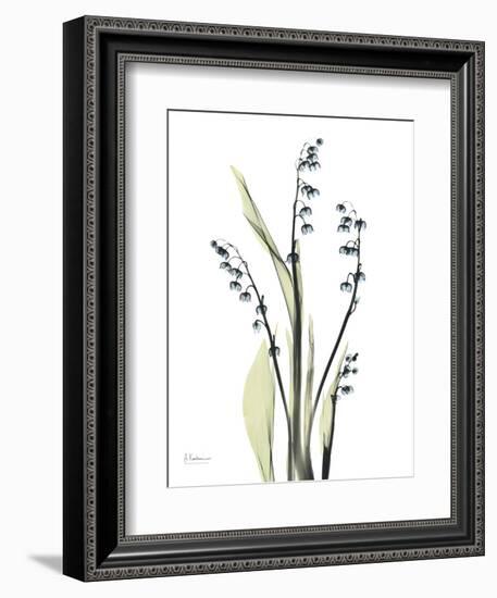 Lily of the Valley-Albert Koetsier-Framed Premium Giclee Print