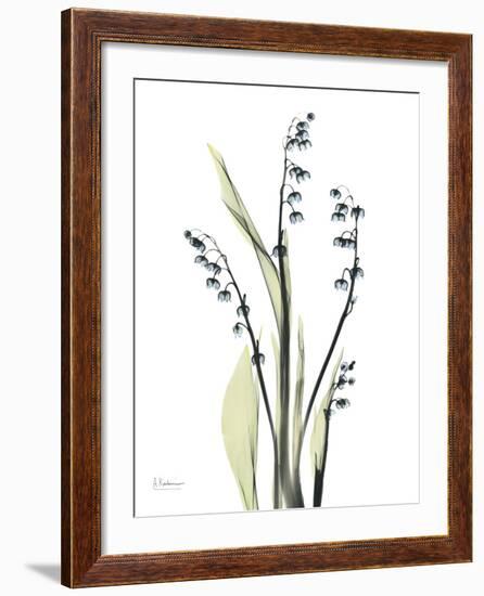 Lily of the Valley-Albert Koetsier-Framed Premium Giclee Print