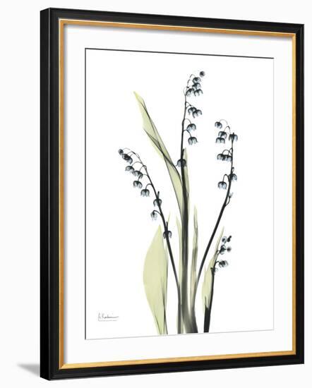 Lily of the Valley-Albert Koetsier-Framed Premium Giclee Print