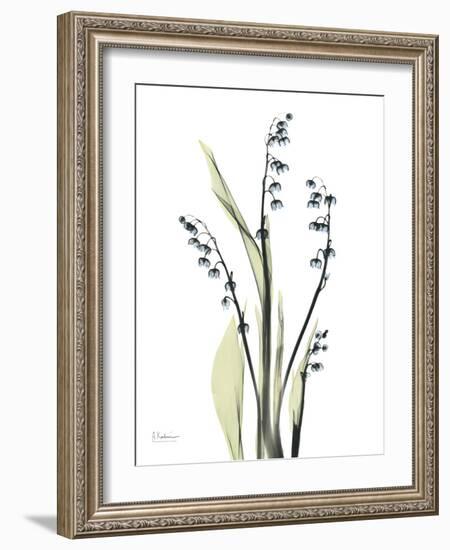 Lily of the Valley-Albert Koetsier-Framed Premium Giclee Print