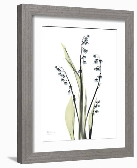 Lily of the Valley-Albert Koetsier-Framed Premium Giclee Print