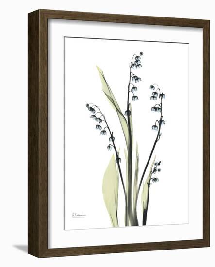 Lily of the Valley-Albert Koetsier-Framed Premium Giclee Print