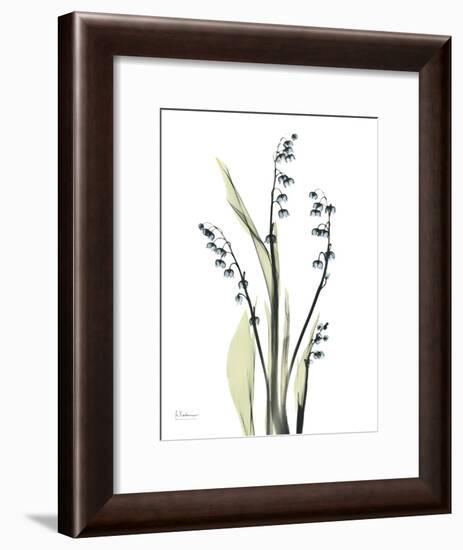 Lily of the Valley-Albert Koetsier-Framed Premium Giclee Print