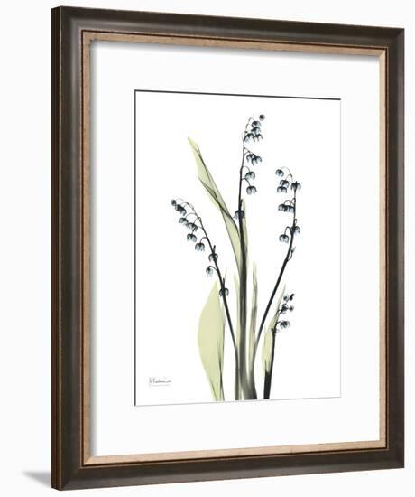 Lily of the Valley-Albert Koetsier-Framed Premium Giclee Print