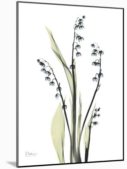 Lily of the Valley-Albert Koetsier-Mounted Premium Giclee Print