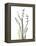 Lily of the Valley-Albert Koetsier-Framed Stretched Canvas