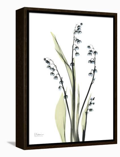 Lily of the Valley-Albert Koetsier-Framed Stretched Canvas