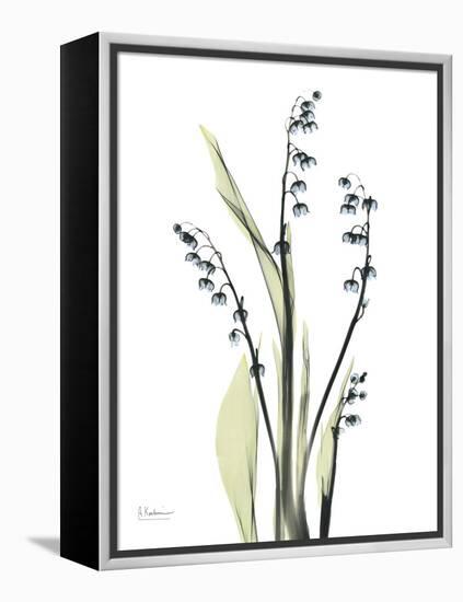 Lily of the Valley-Albert Koetsier-Framed Stretched Canvas