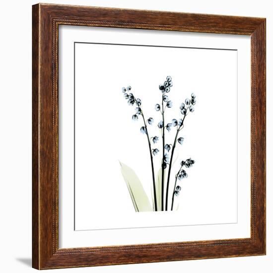 Lily of the Valley-Albert Koetsier-Framed Premium Giclee Print