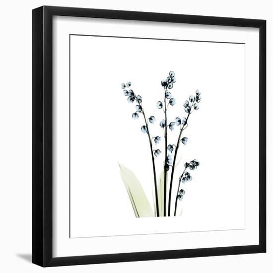 Lily of the Valley-Albert Koetsier-Framed Premium Giclee Print