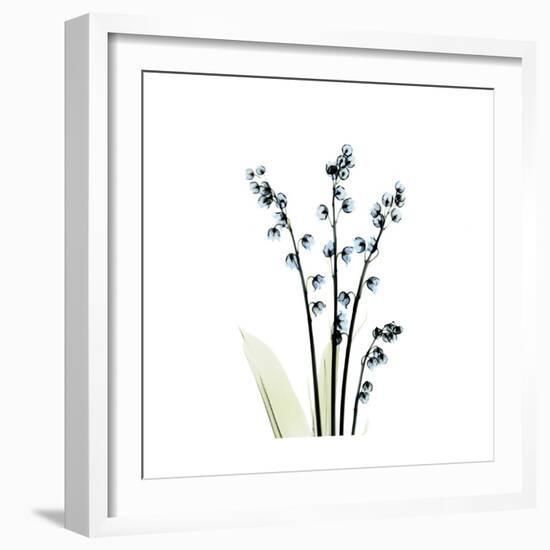 Lily of the Valley-Albert Koetsier-Framed Premium Giclee Print