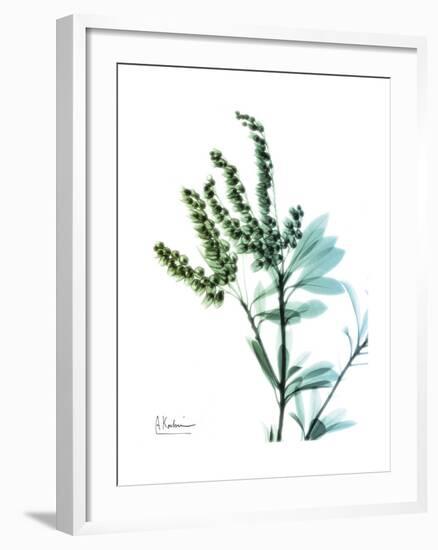 Lily of the Valley-Albert Koetsier-Framed Premium Giclee Print