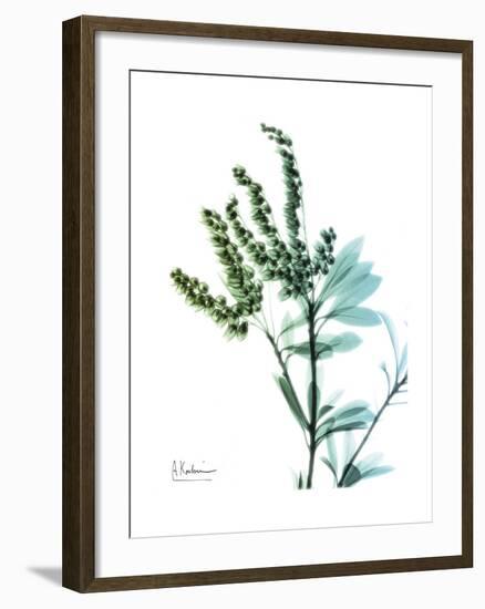 Lily of the Valley-Albert Koetsier-Framed Premium Giclee Print