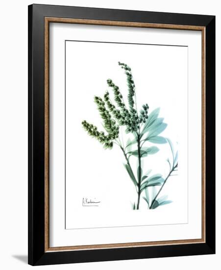 Lily of the Valley-Albert Koetsier-Framed Premium Giclee Print