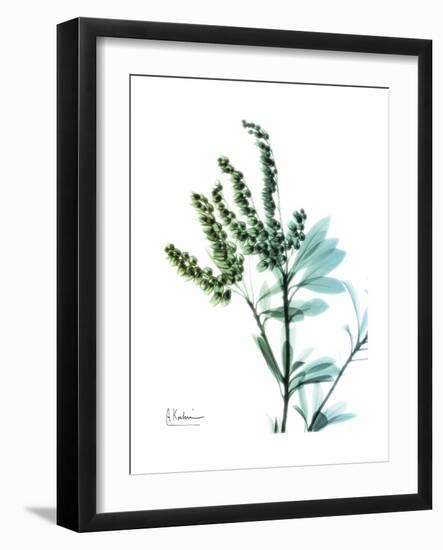 Lily of the Valley-Albert Koetsier-Framed Premium Giclee Print