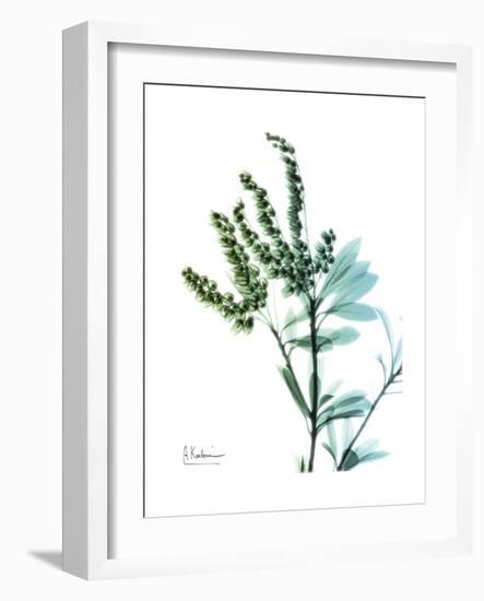 Lily of the Valley-Albert Koetsier-Framed Premium Giclee Print