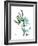 Lily of the Valley-Albert Koetsier-Framed Premium Giclee Print