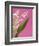 Lily of the valley-Ada Summer-Framed Photographic Print