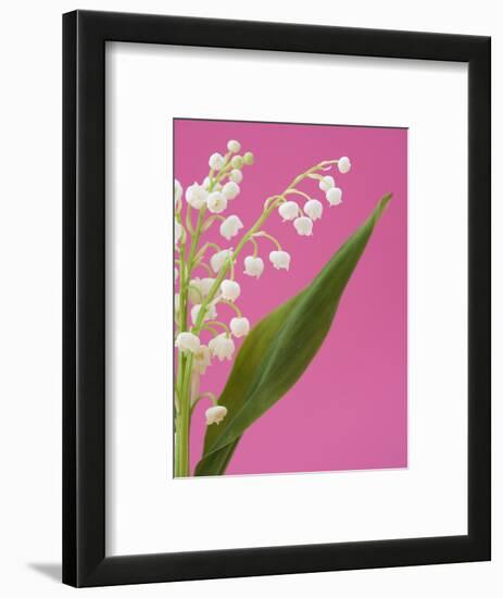 Lily of the valley-Ada Summer-Framed Photographic Print