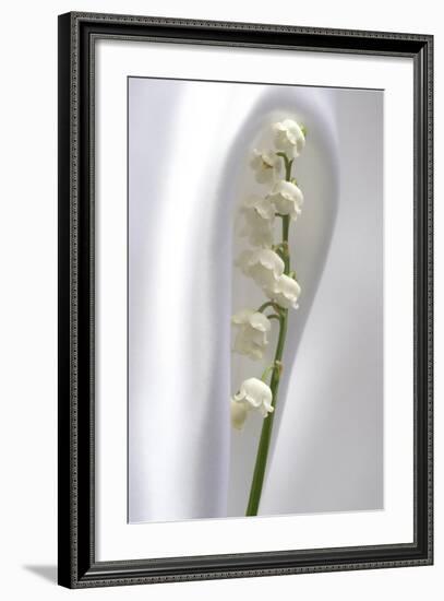 Lily of the Valley-Anna Miller-Framed Photographic Print