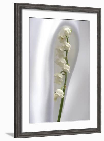 Lily of the Valley-Anna Miller-Framed Photographic Print