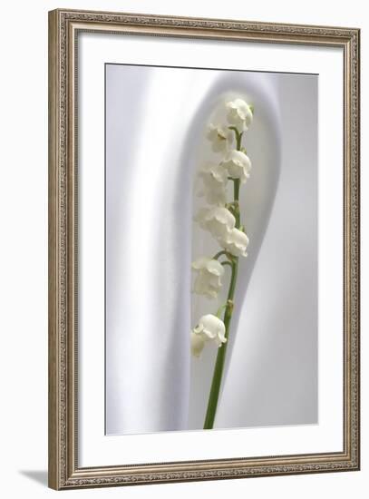 Lily of the Valley-Anna Miller-Framed Photographic Print