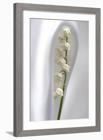 Lily of the Valley-Anna Miller-Framed Photographic Print