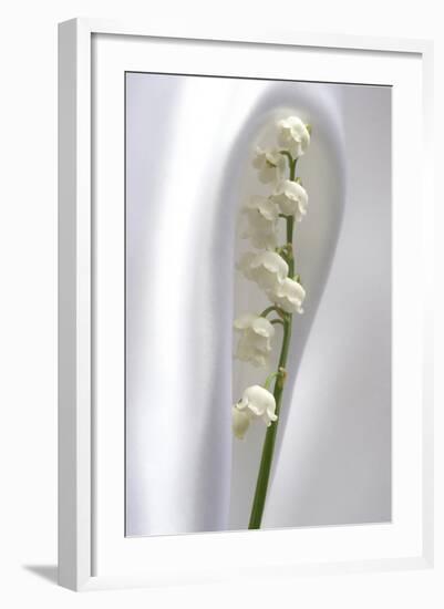 Lily of the Valley-Anna Miller-Framed Photographic Print