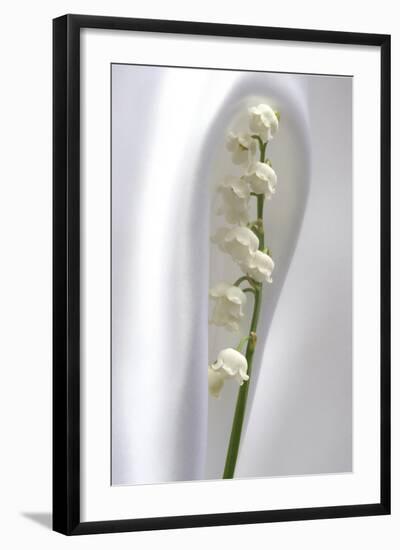 Lily of the Valley-Anna Miller-Framed Photographic Print