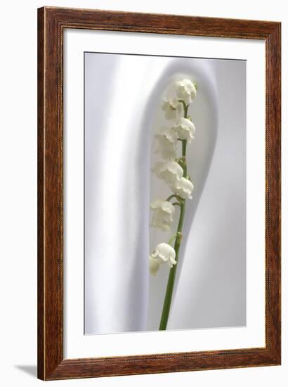 Lily of the Valley-Anna Miller-Framed Photographic Print