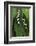 Lily of the Valley-Anna Miller-Framed Photographic Print