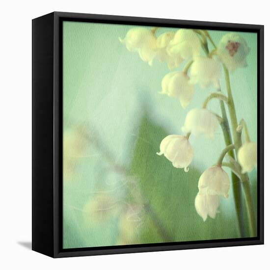 Lily of the Valley-Judy Stalus-Framed Stretched Canvas