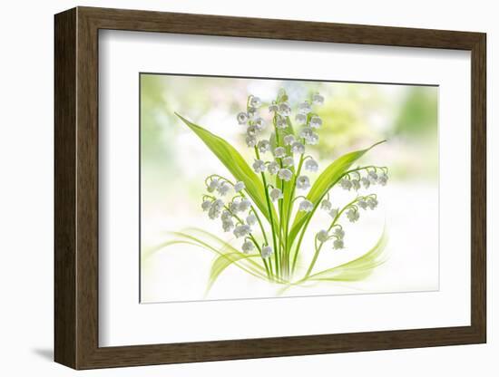 Lily of the Valley-Jacky Parker-Framed Photographic Print