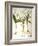 Lily-Of-The-Valley-Besler Basilius-Framed Giclee Print