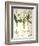 Lily-Of-The-Valley-Besler Basilius-Framed Giclee Print