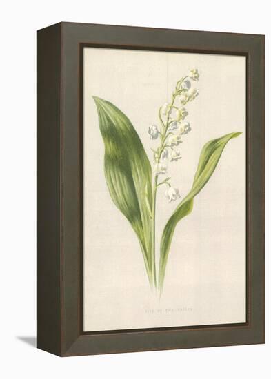 Lily of the Valley-Frederick Edward Hulme-Framed Premier Image Canvas