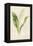 Lily of the Valley-Frederick Edward Hulme-Framed Premier Image Canvas