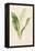 Lily of the Valley-Frederick Edward Hulme-Framed Premier Image Canvas