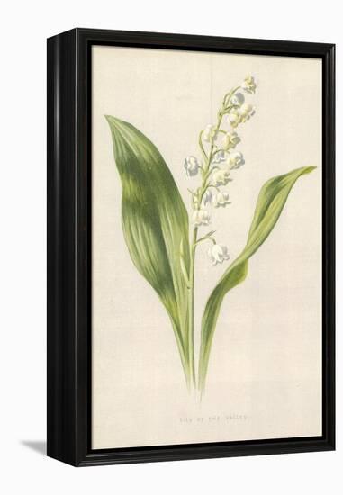 Lily of the Valley-Frederick Edward Hulme-Framed Premier Image Canvas