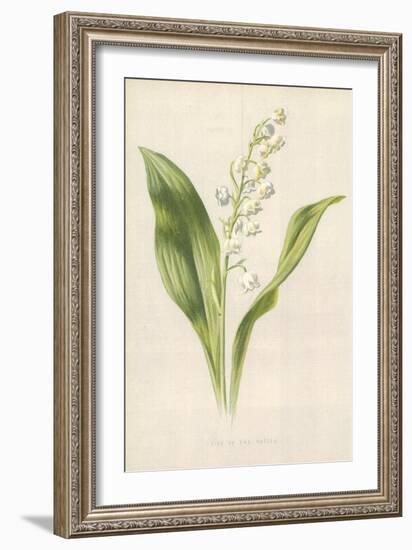 Lily of the Valley-Frederick Edward Hulme-Framed Giclee Print