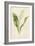 Lily of the Valley-Frederick Edward Hulme-Framed Giclee Print